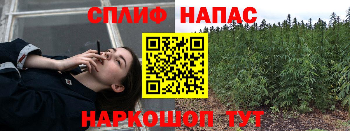 Топки  Каннабис OG Kush  Канабис Bruce Banner  Вход с VPN  Бошки Шишки индика 